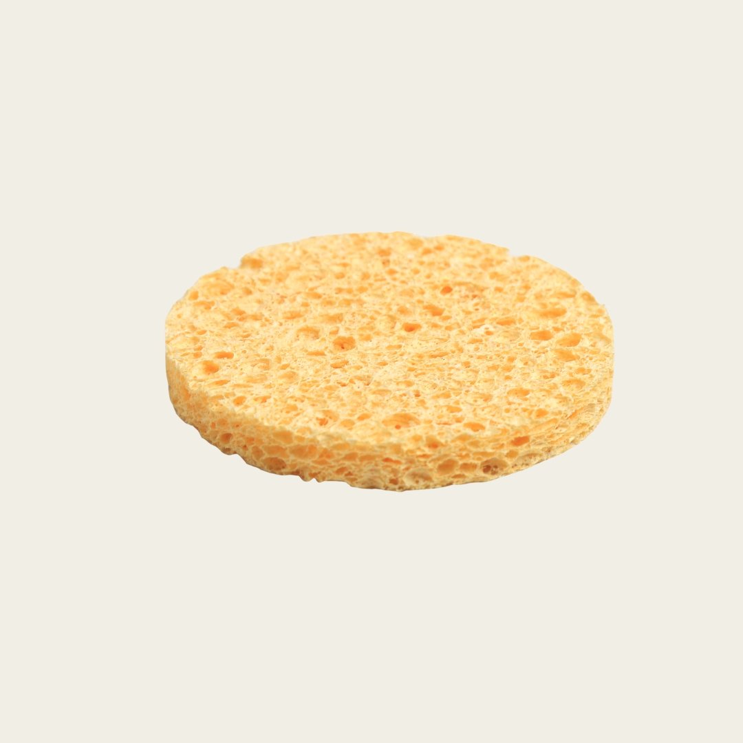 GGG – 2026-02-12T110613.358